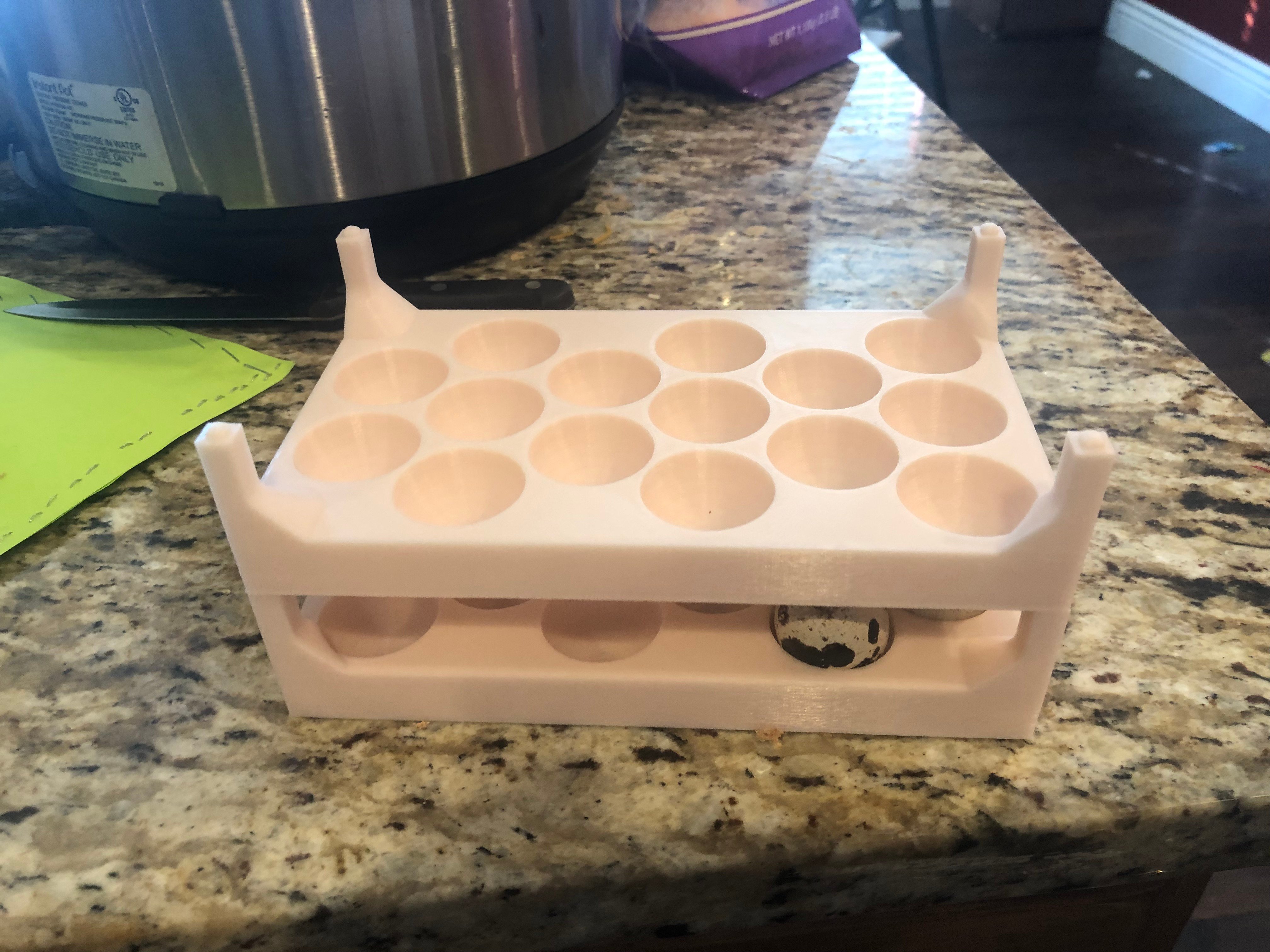 Quail Egg Stacking Storage Carton Larger remix