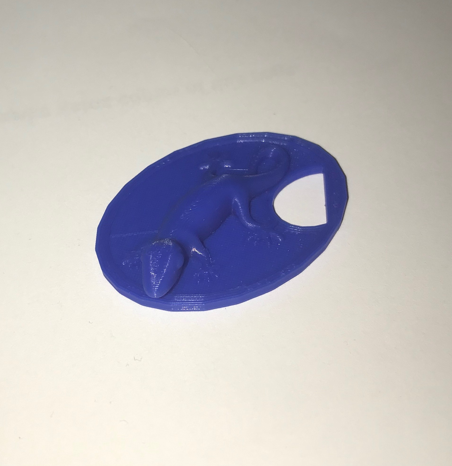 Gecko Coin Keychain