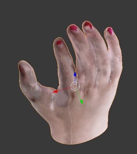 Hollies hand test texture