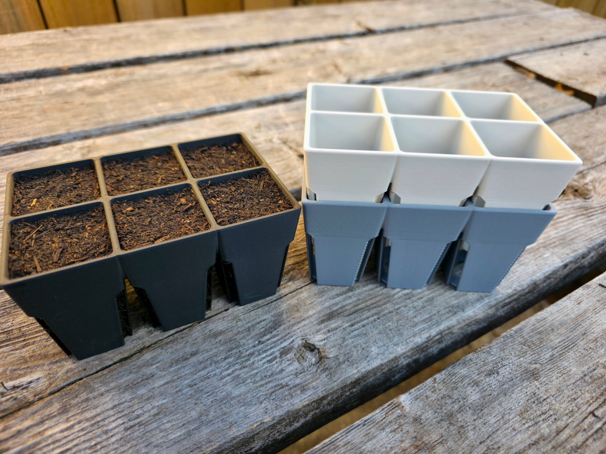 Basic 6 Cell Seed Starter