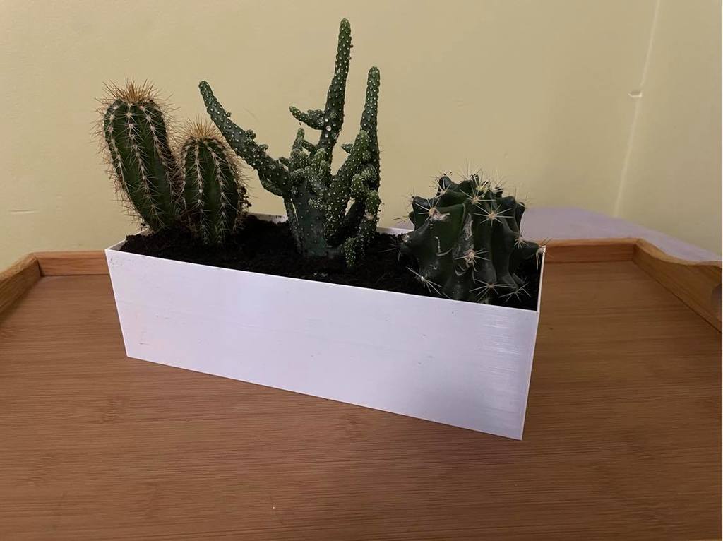 Planter for three cactus