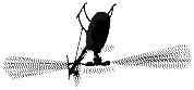 hubschrauber
