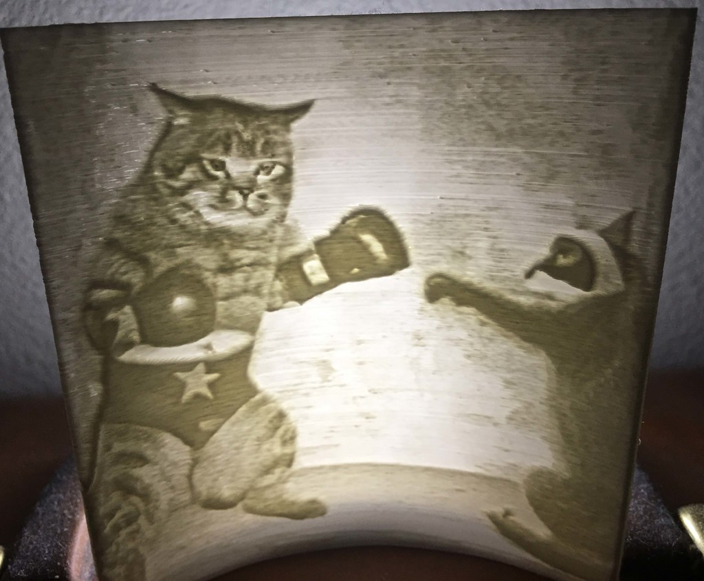 Lithophane of a Cat Fighting a Racoon