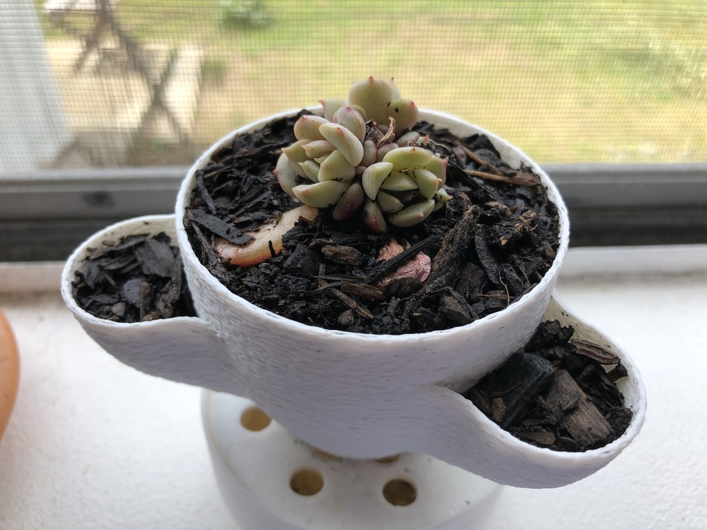 4-in-1 Plant Pot