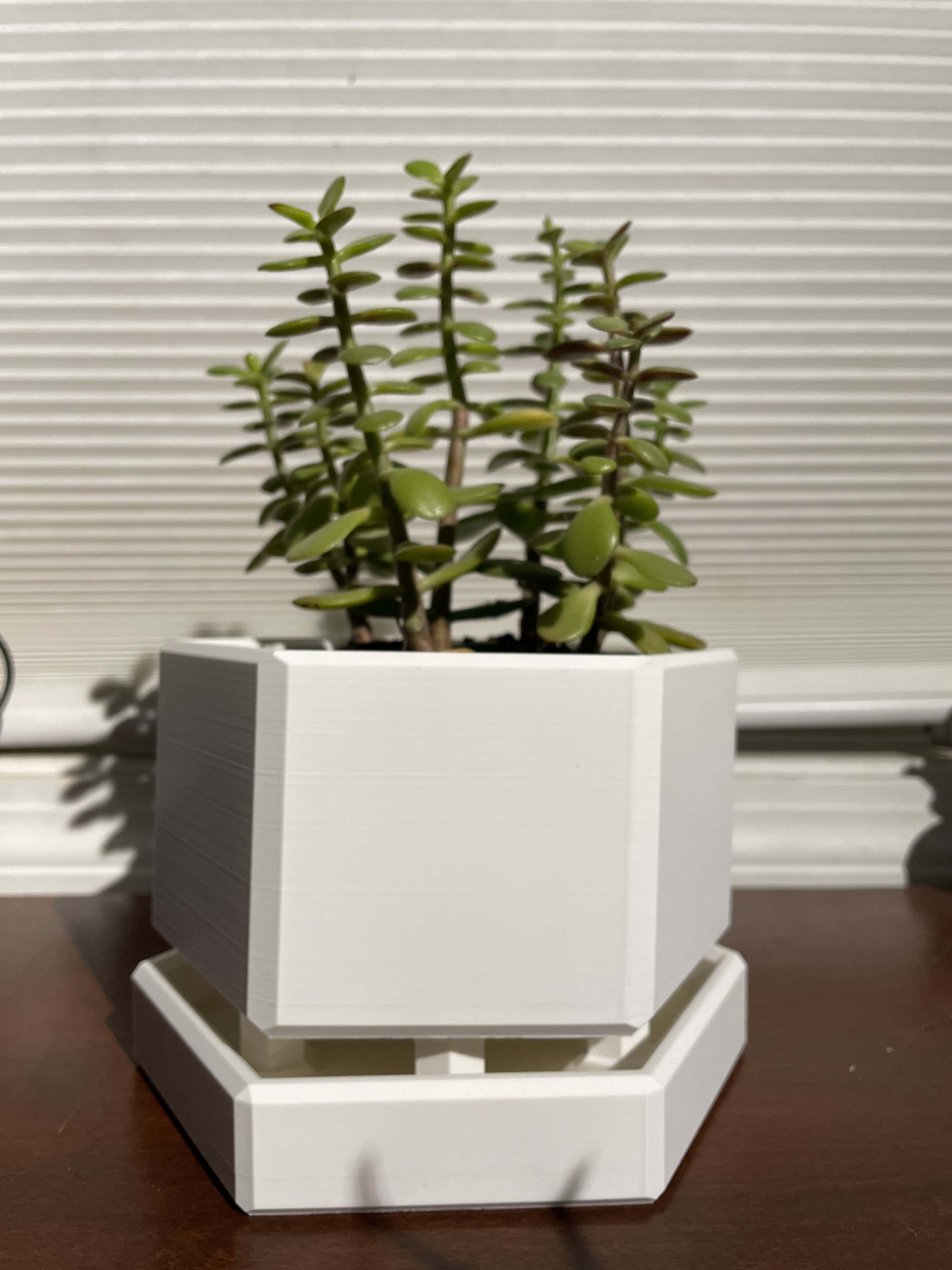 Hexagon Plant Pot