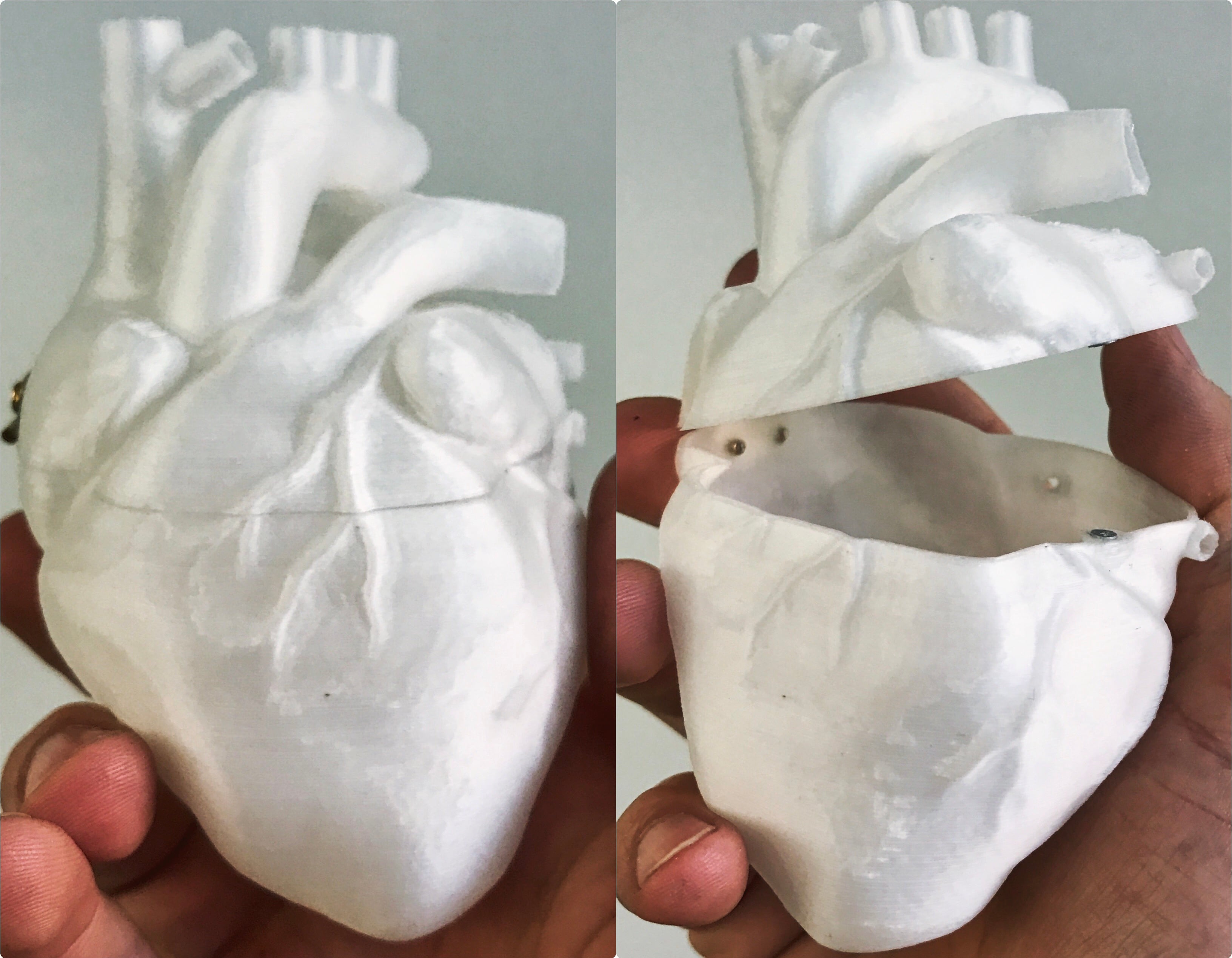 Heart Shaped Box