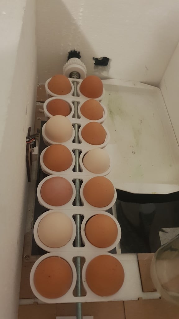 Egg turner for incubator