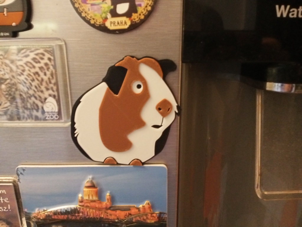 Guinea pig fridger magnet