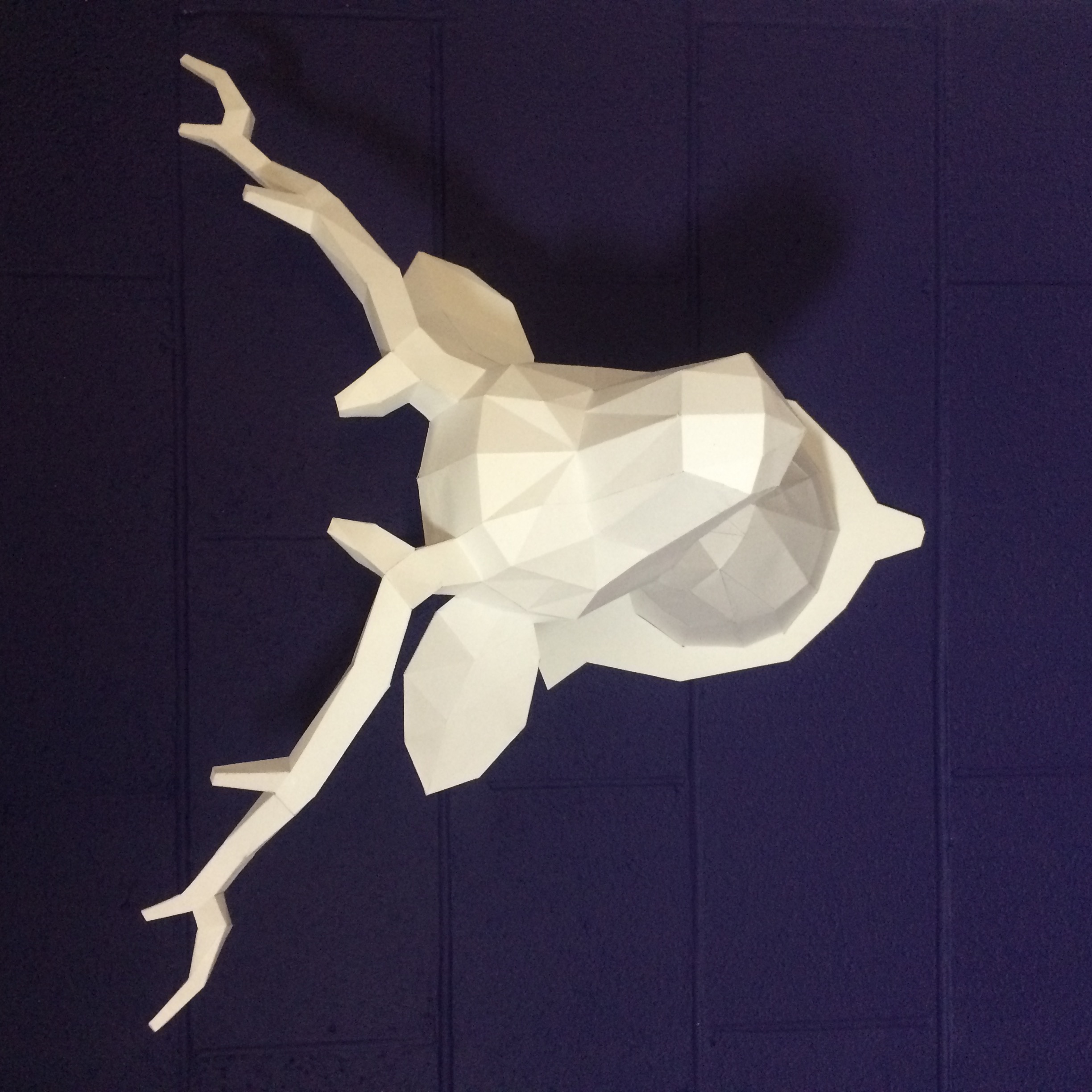 Deer paper Trophy