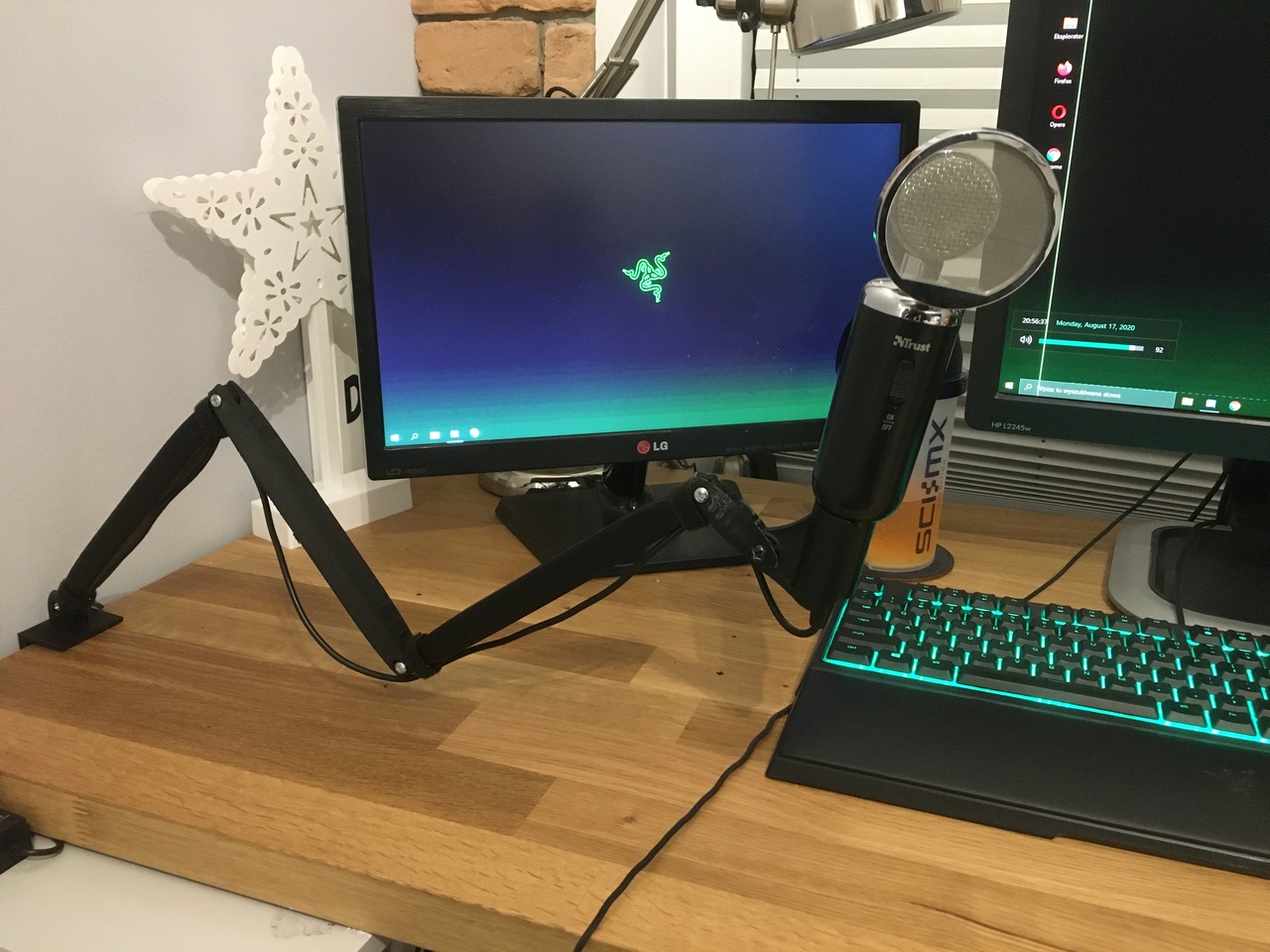 Microphone arm