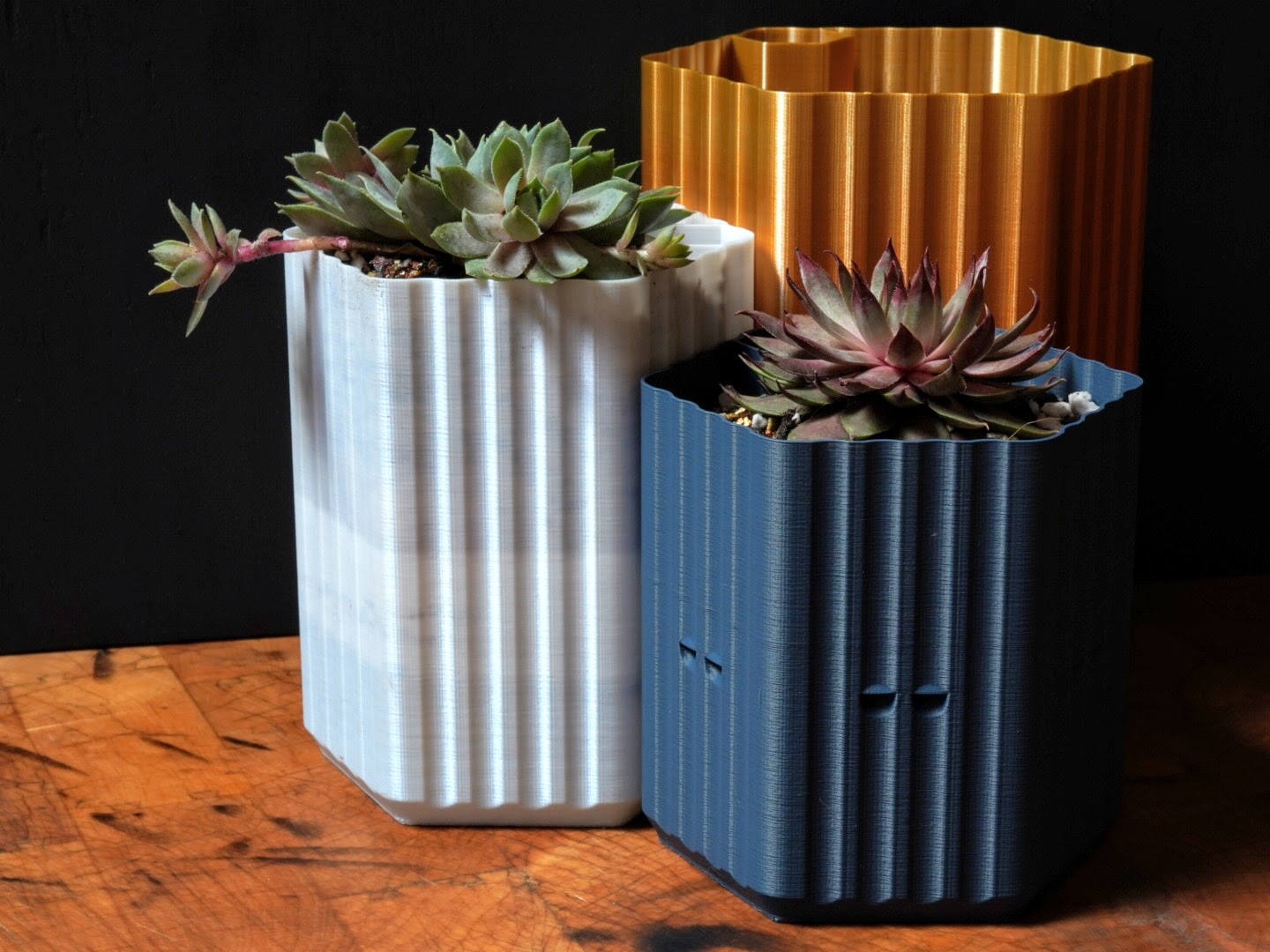 A Self Watering Planter of Singular Purpose (Spiral Vase)