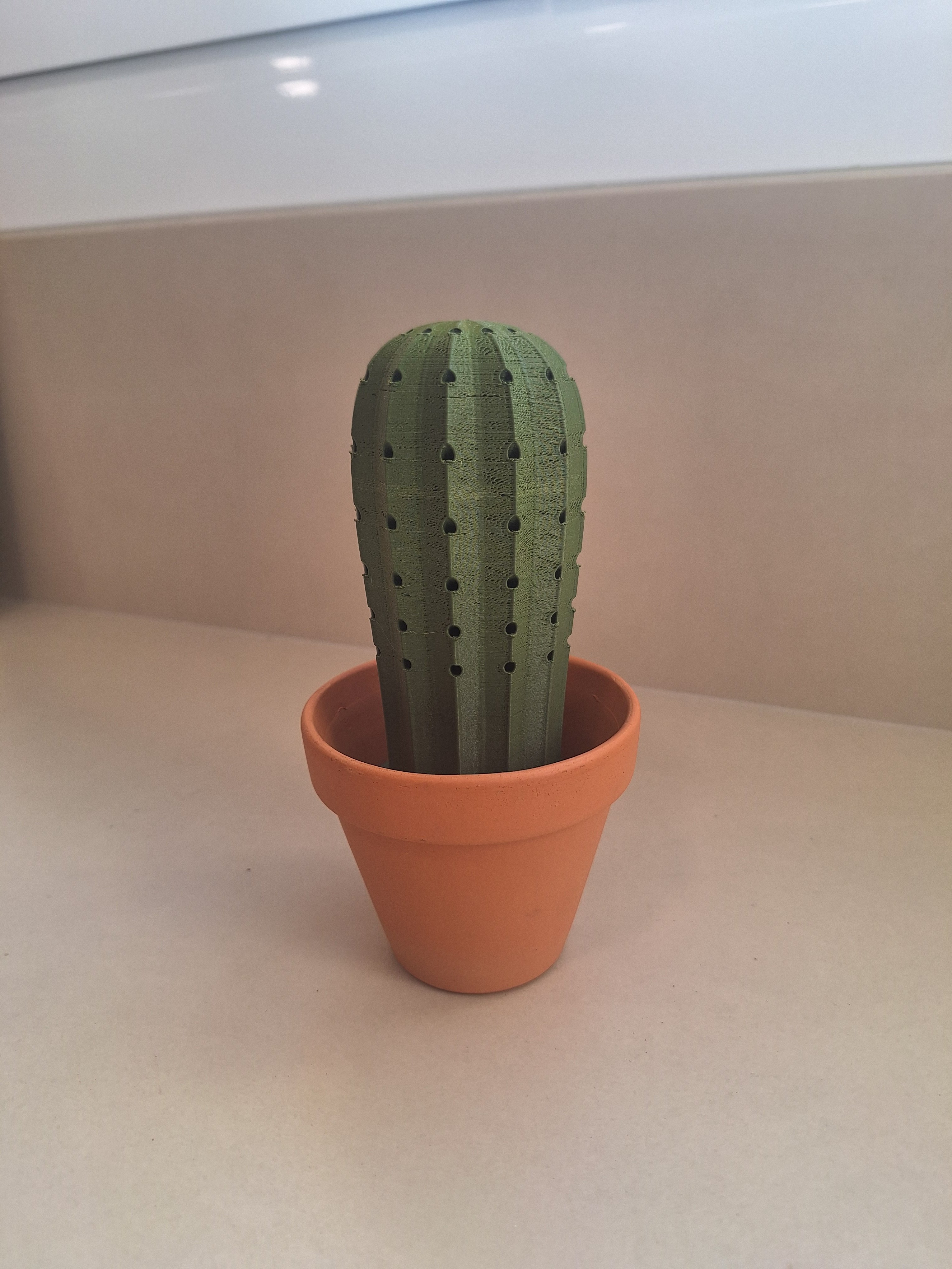 Cactus Toothpick Holder