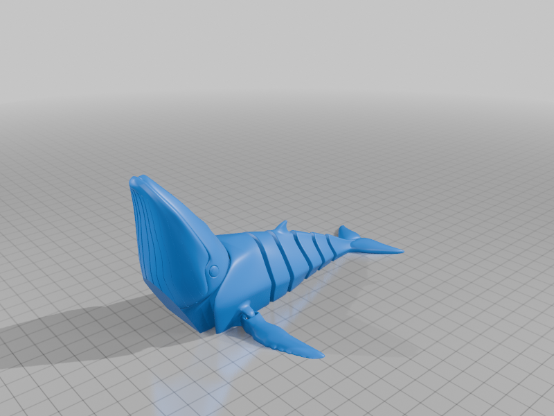 Humpback Whale