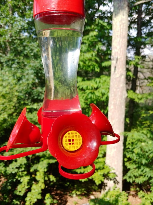Hummingbird feeder replacement bee guard (old style) Perky Pet