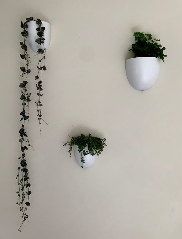 Wall Pot for Medium Command Hooks - Self-Watering Hanging Pot which is suitable for renters