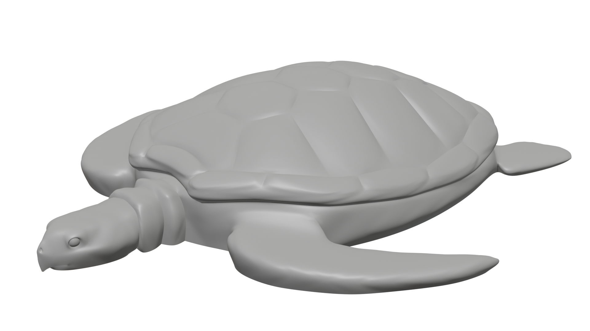 Sea Turtle