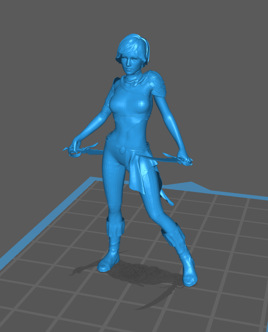 Human Rogue Female