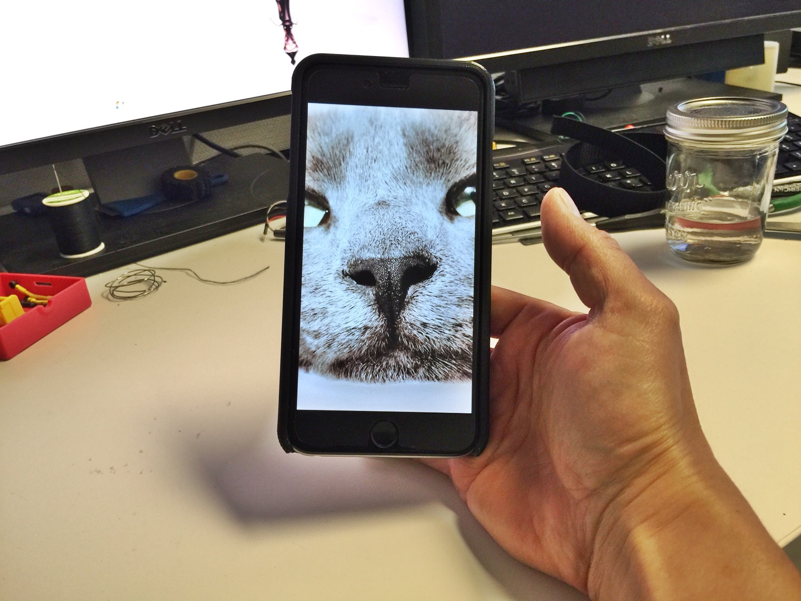 iPhone 6 Plus case