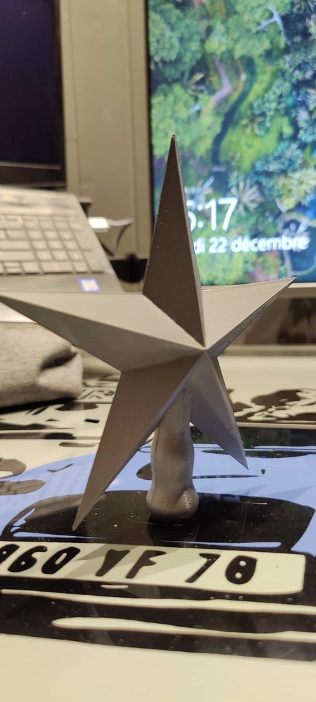 étoile de Noël / Christmas star