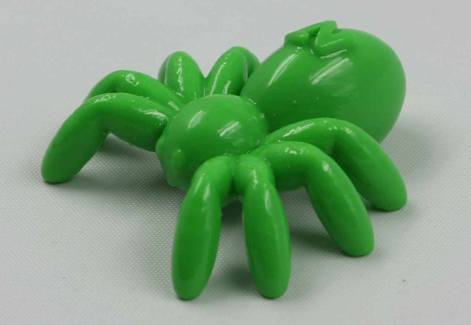 NT Spider (NT Insects)