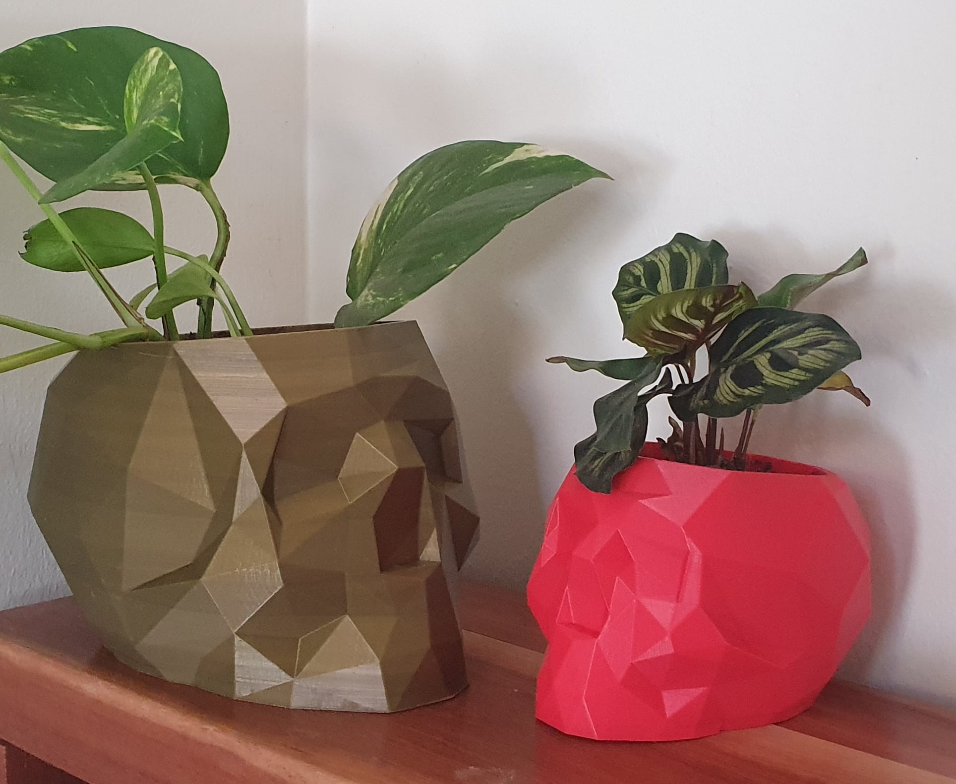 Geometric Skull Pot With Drainage