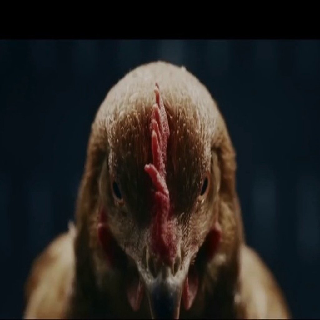 Cannibal Chicken Head