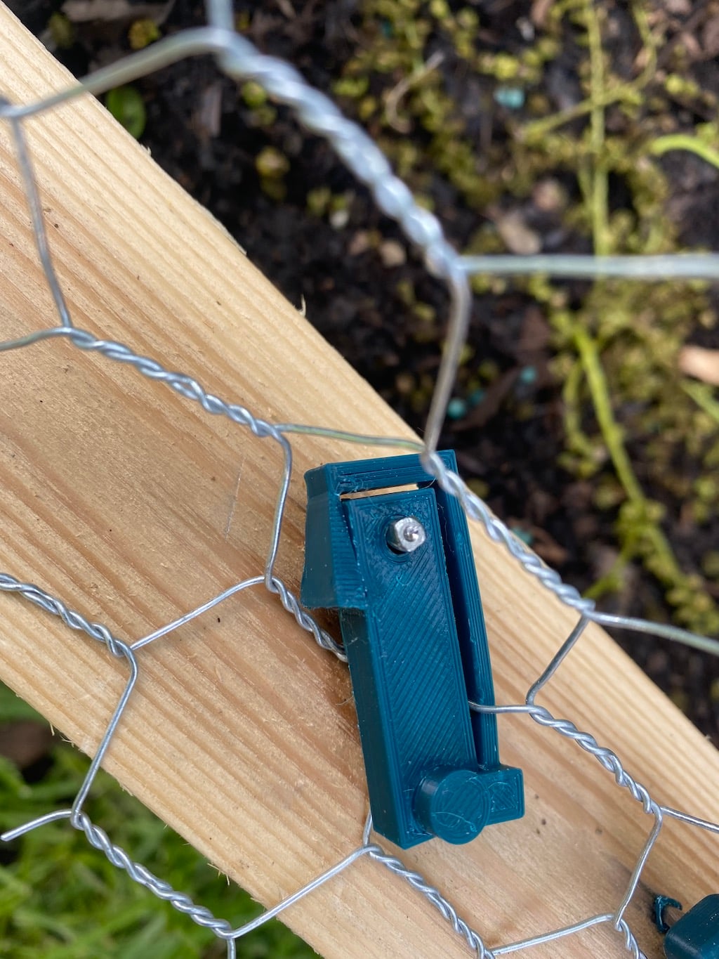 Chick wire clasp