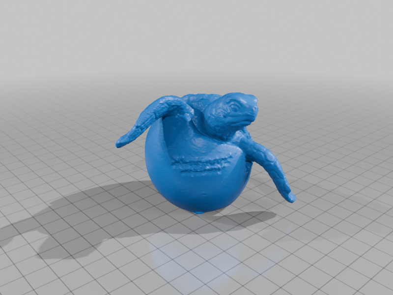 3d Scan of Newport Oregon Gift Shop Turtle