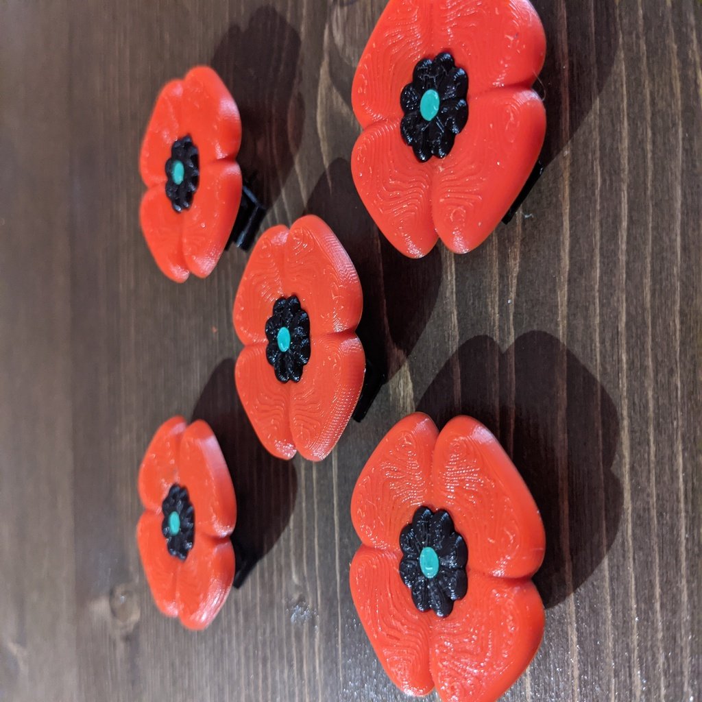Poppy for Remembrance Day/Veterans Day