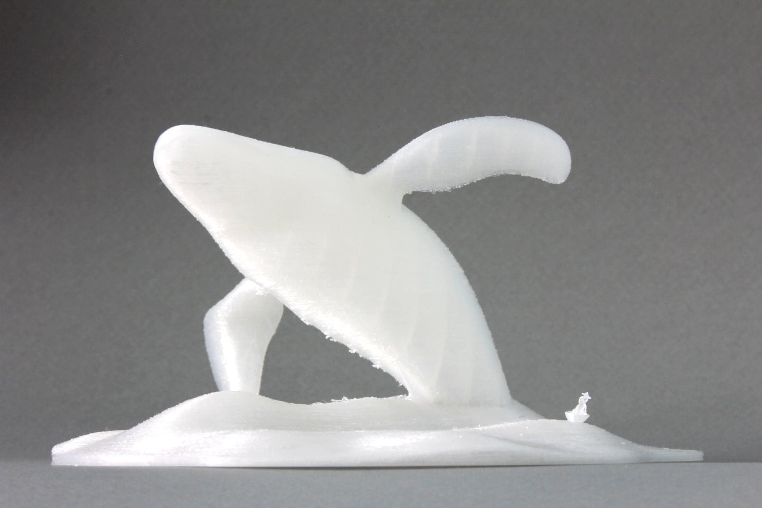 Big Whale Jumping