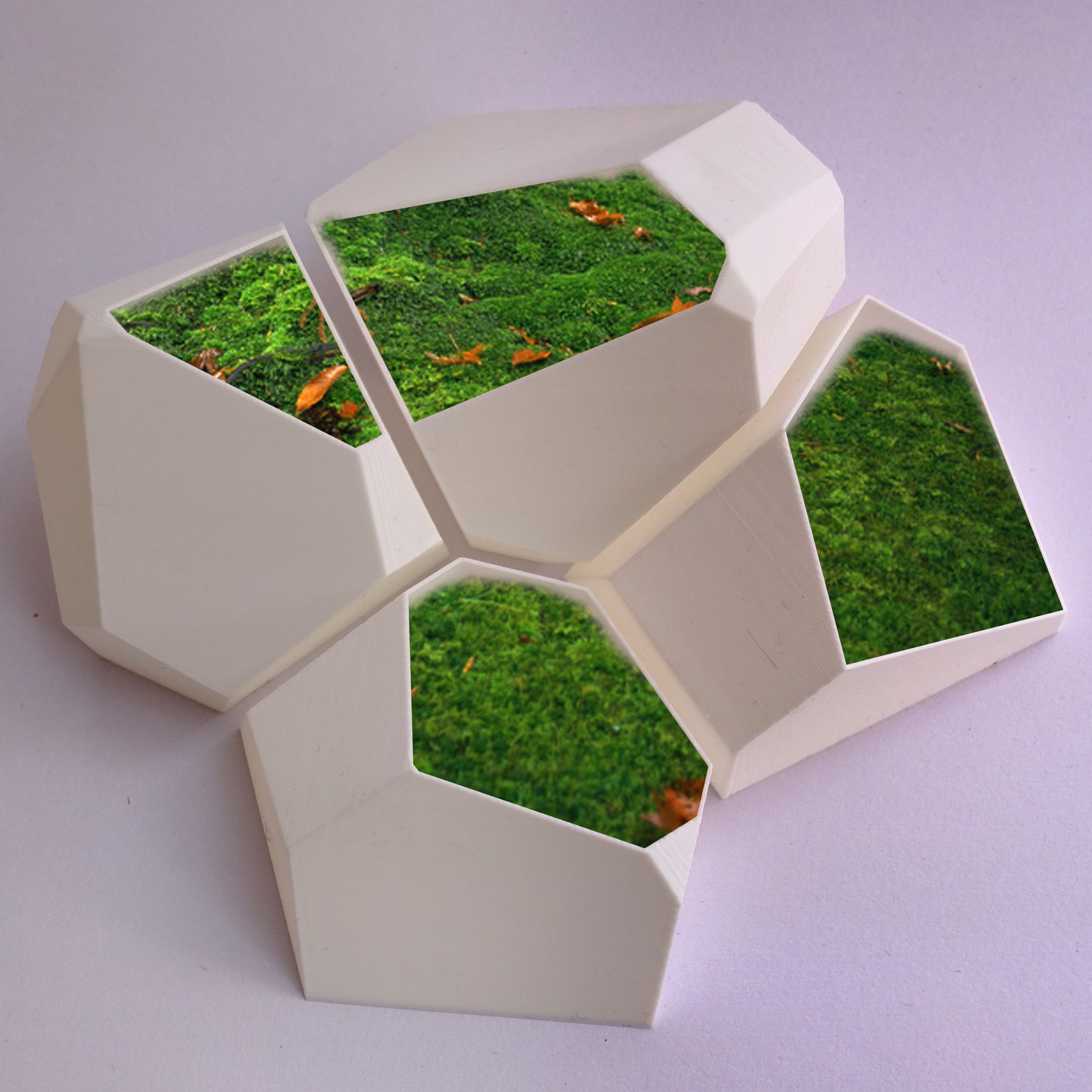 voronoi Flower pot