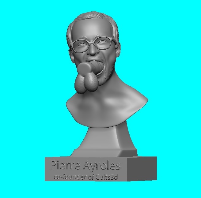 Pierre Ayroles co-founder of cults3d bust