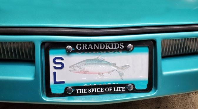 Grandkids License Plate Frame