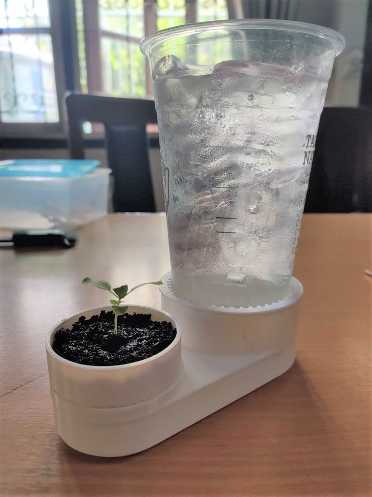 DEWY : Automatic plant watering pot from iced coffee cups dewdrop