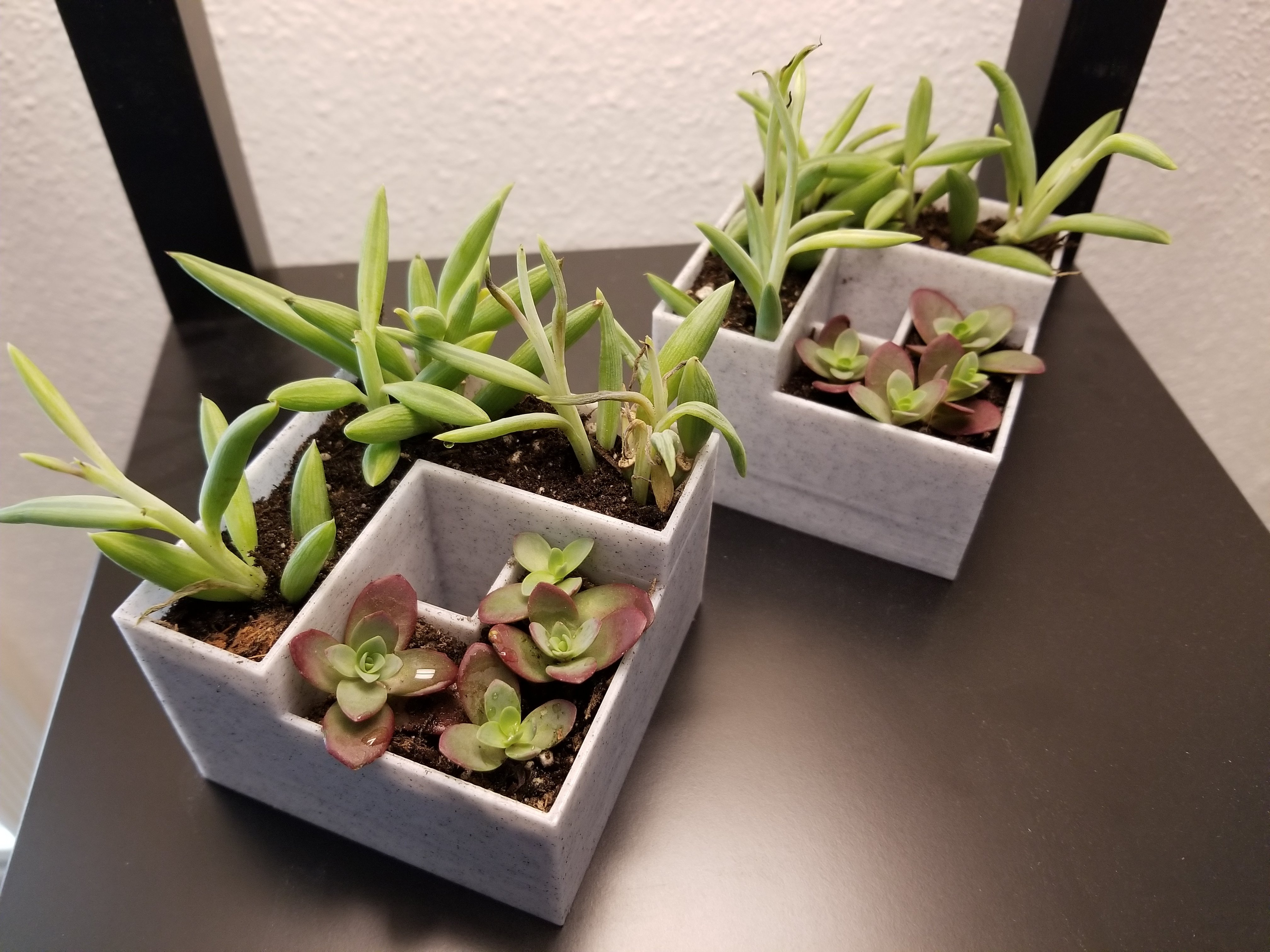 Self Watering Planter