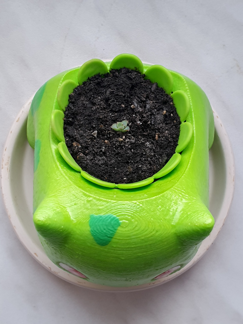 Inner pot with petals for Bulbasaur planter