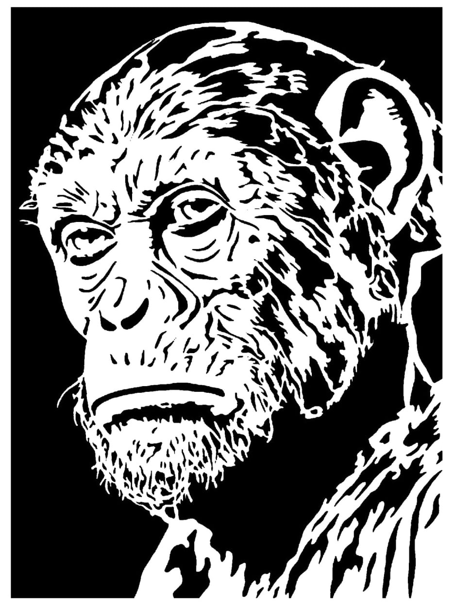 ROTPOTA Caesar stencil