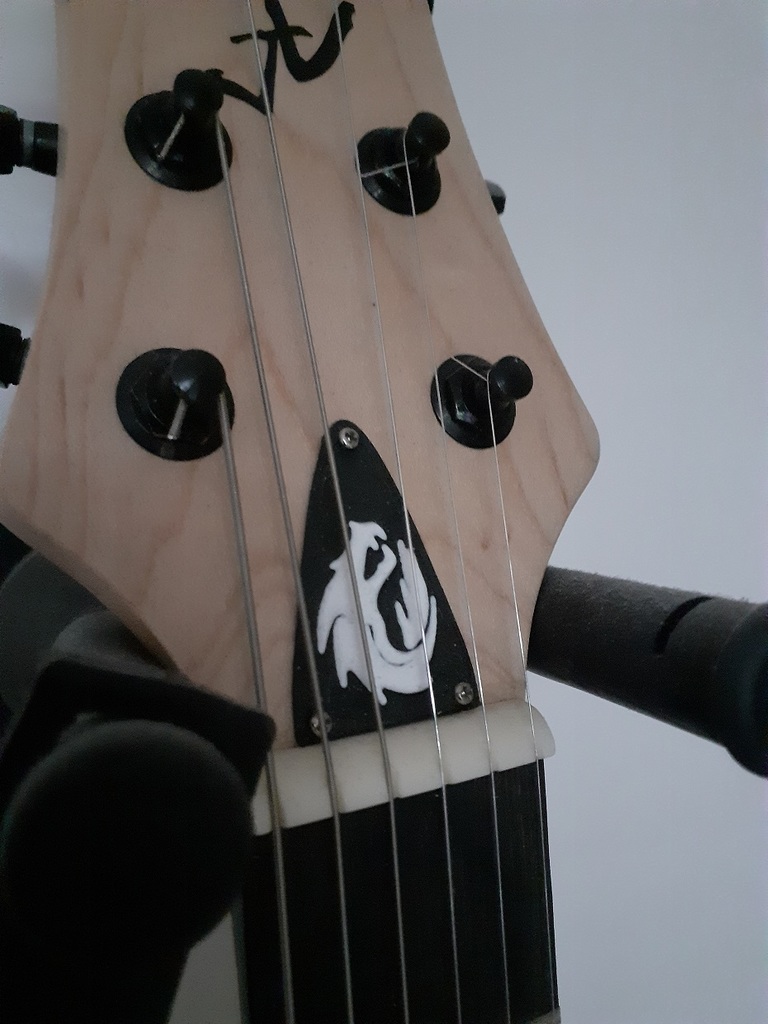 truss rod cover
