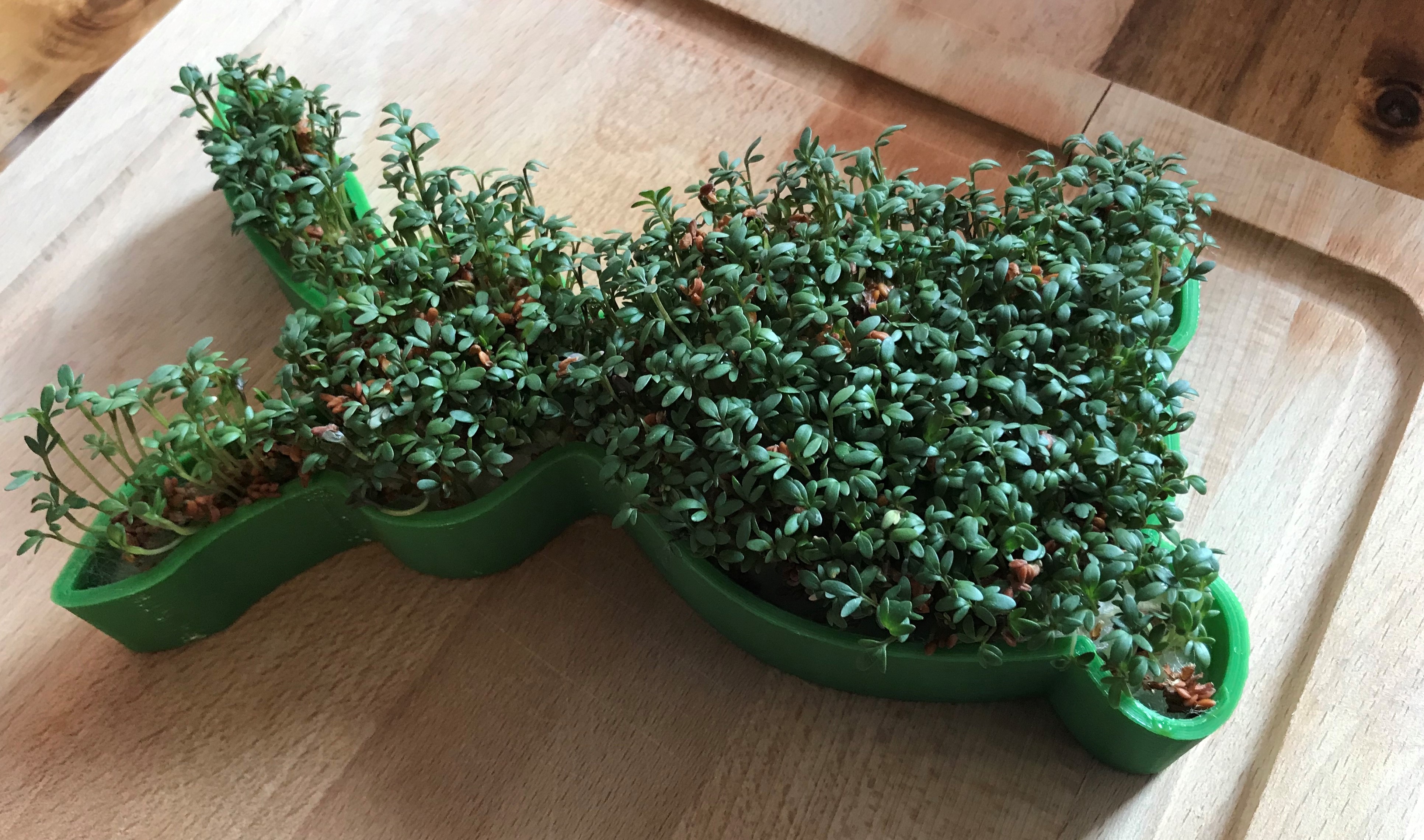 Easter Planter / Easter Box / Easter Bunny