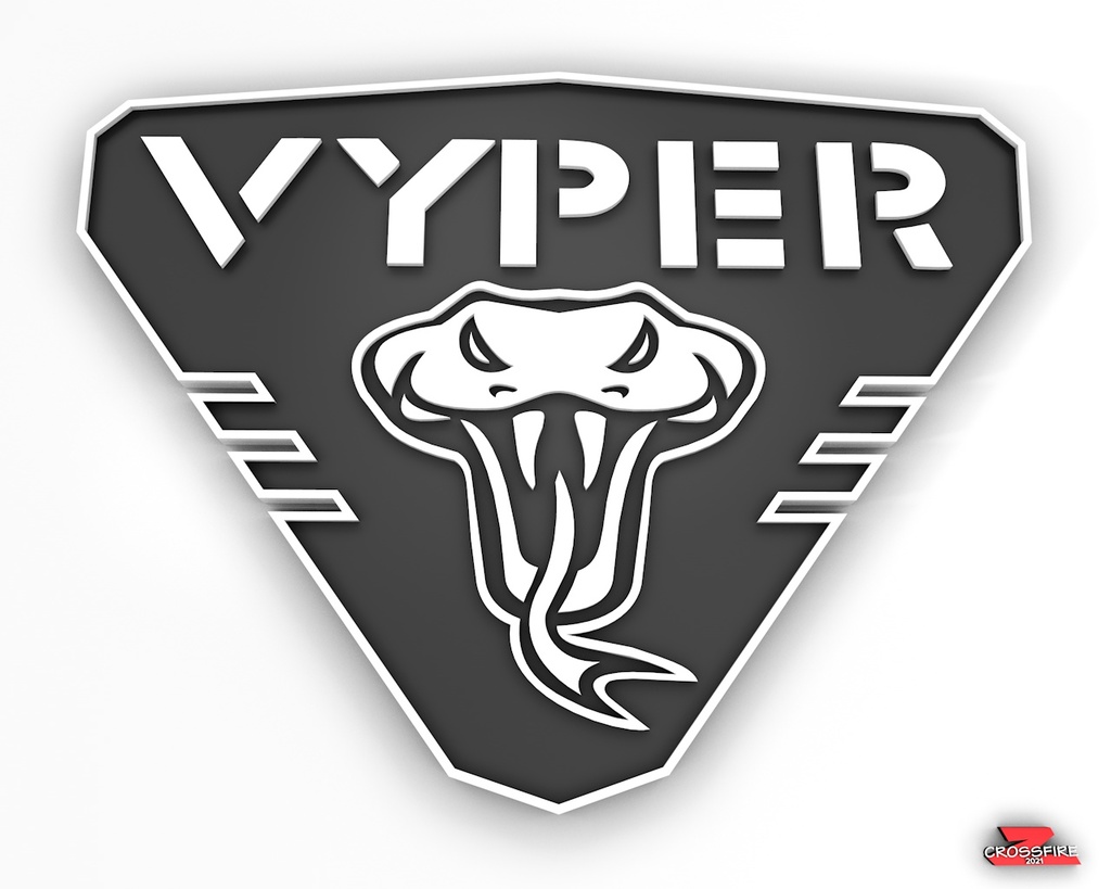 Anycubic VYPER custom logo