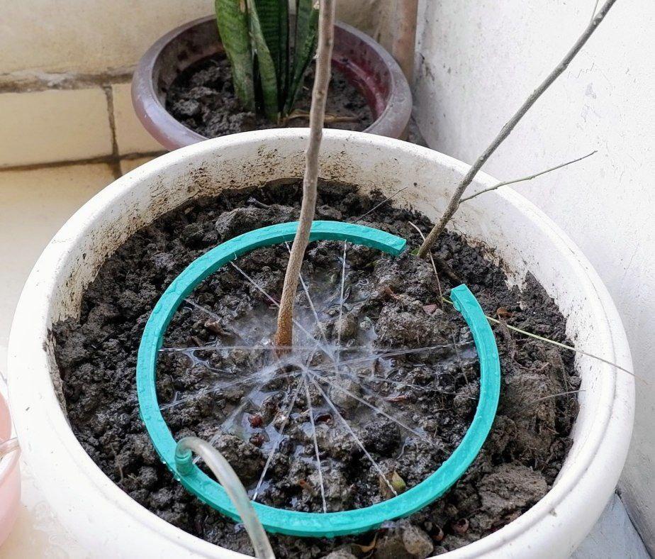 Sprinkler for Plants with Hose