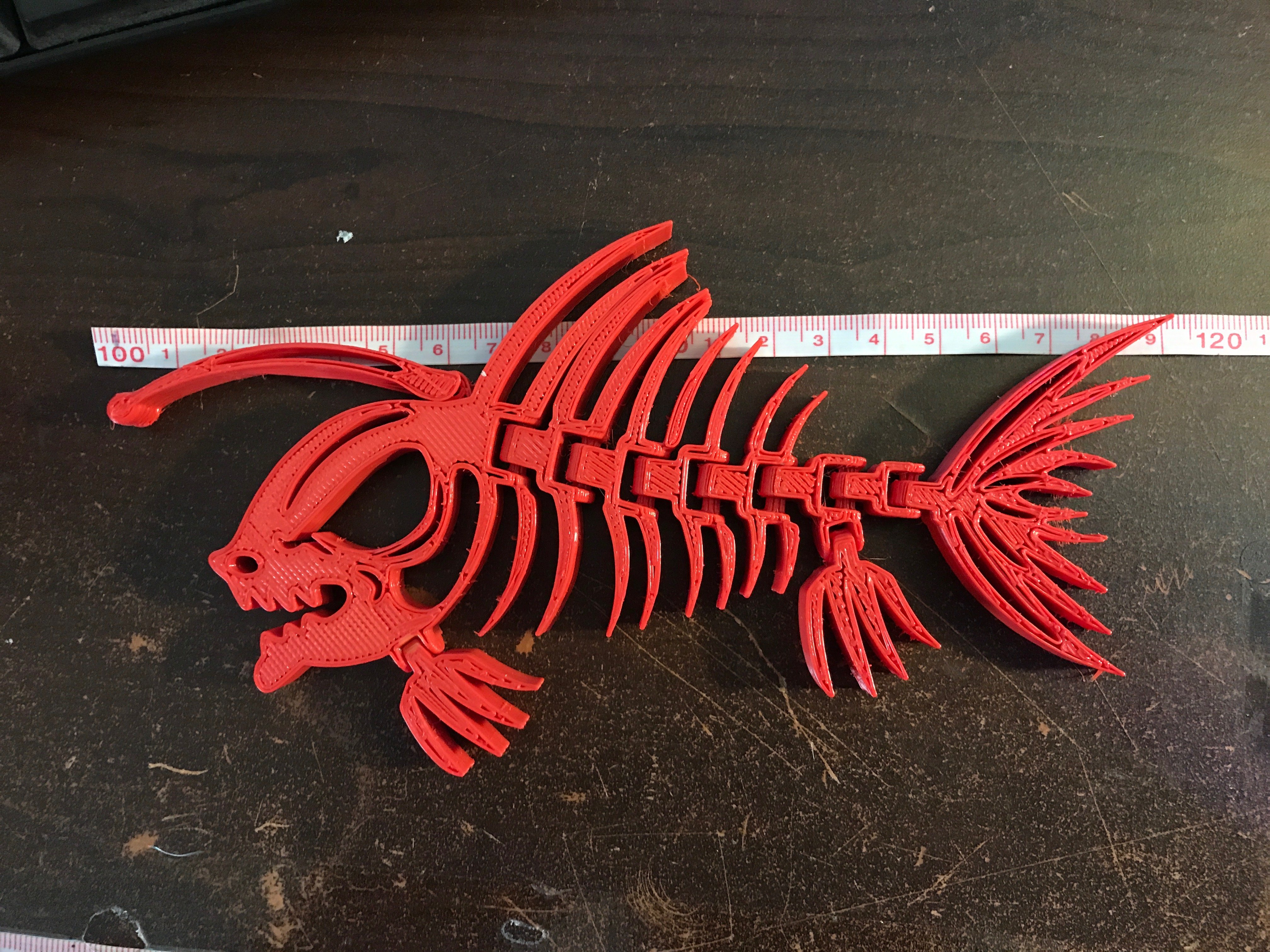 Articulated Piranha/Anglerfish Skeleton
