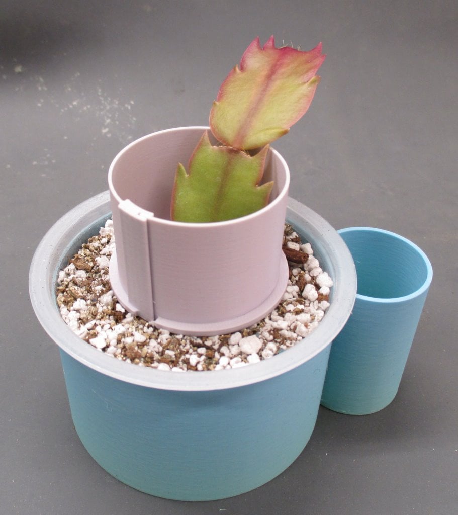 Plant Support Ring