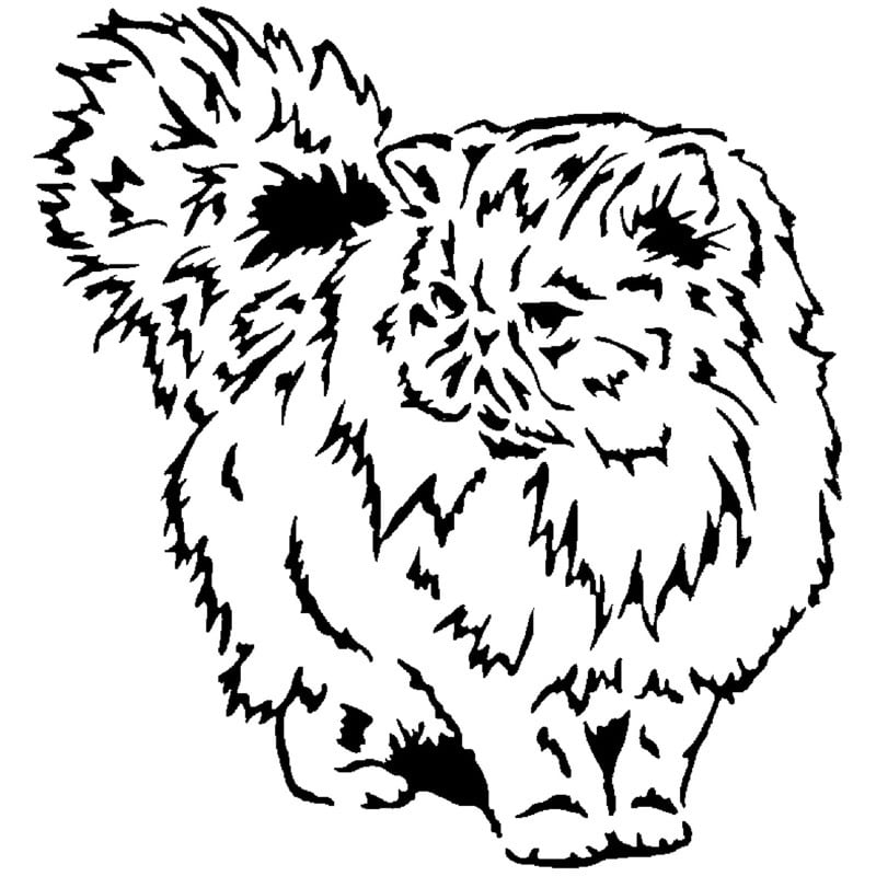 Persian Cat stencil