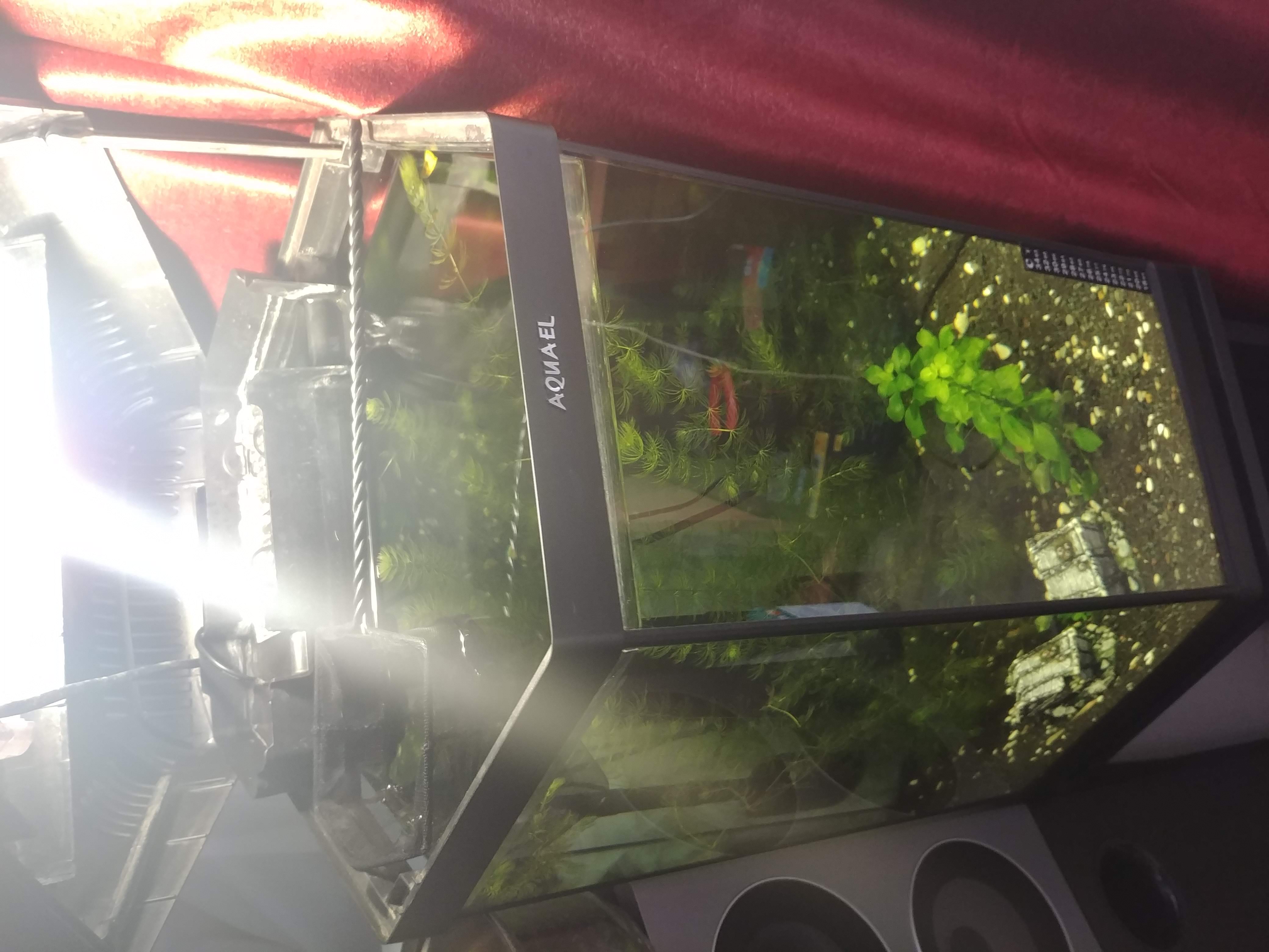 Aquael Hexa set II 60L Aquarium heater stub
