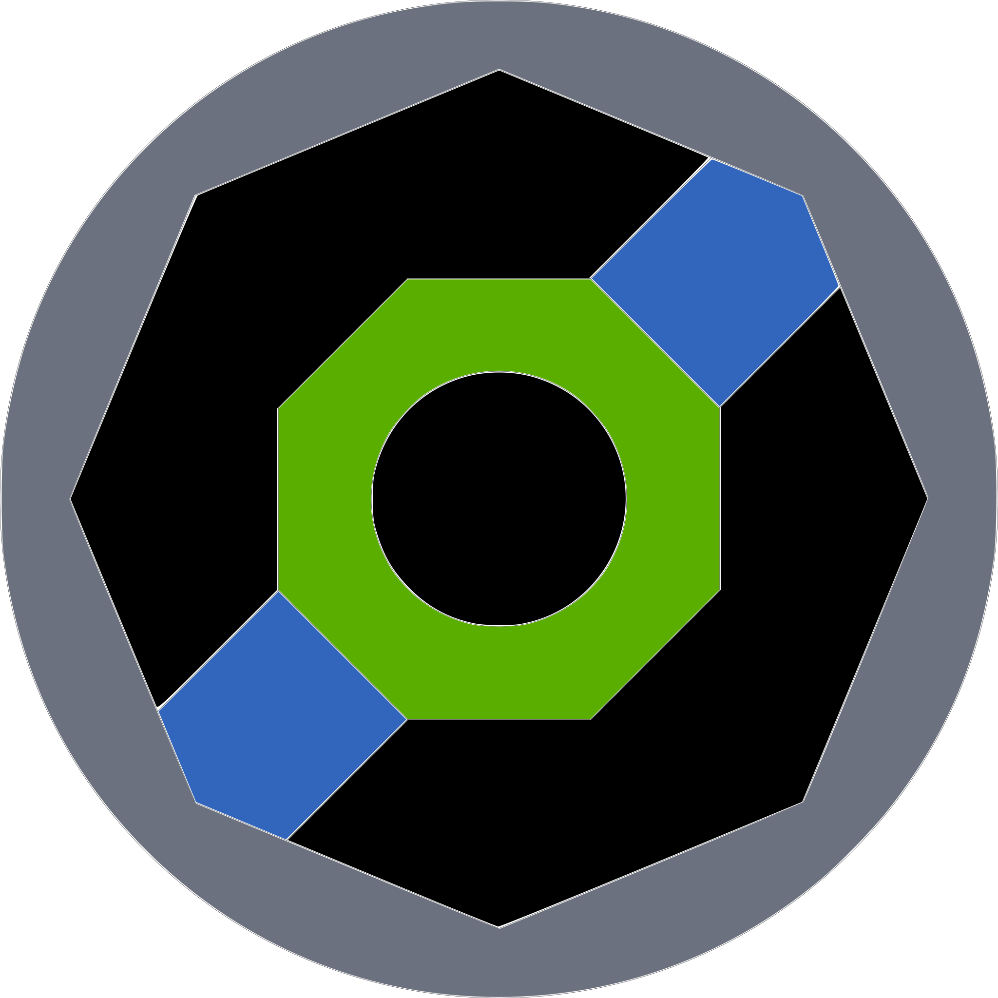 Octodon