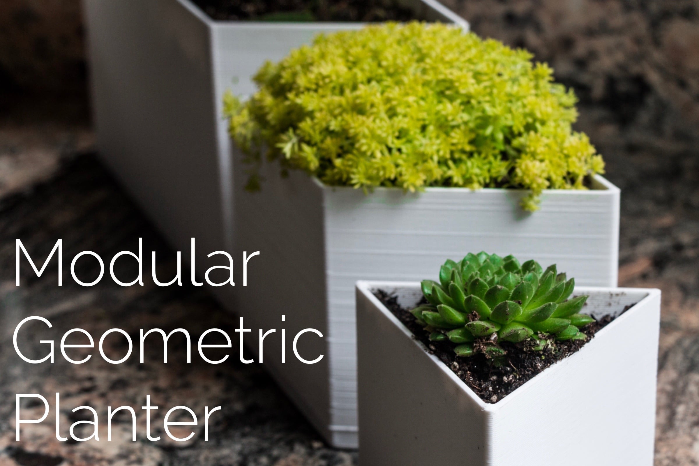 Modular Geometric Planters