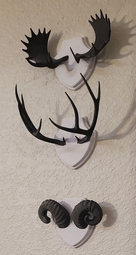 Antler and Horn Mounts