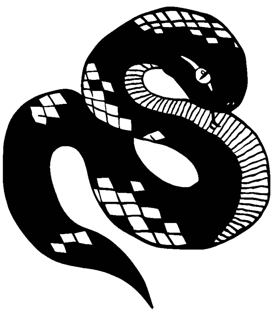 2D Snake