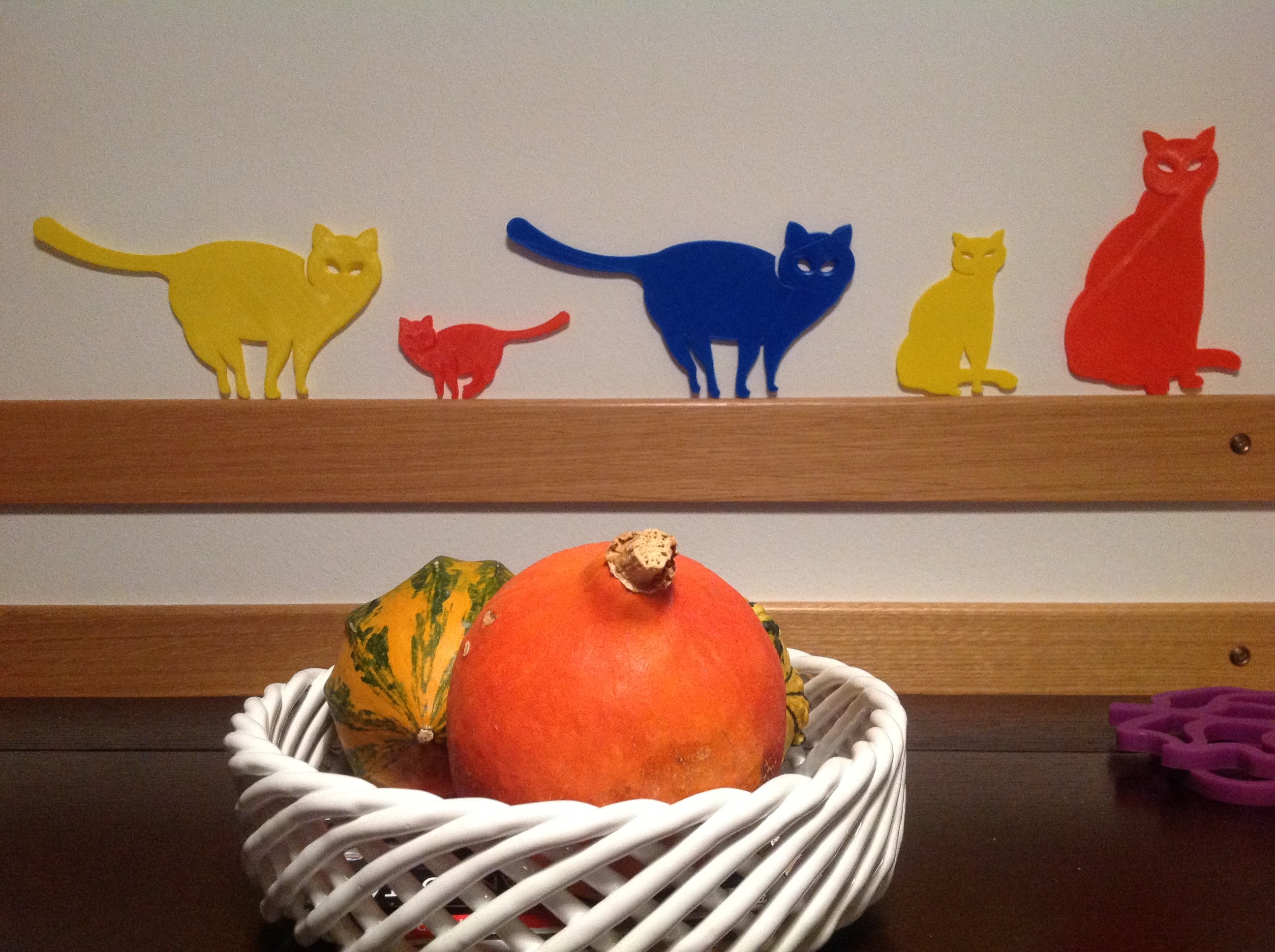 Cats